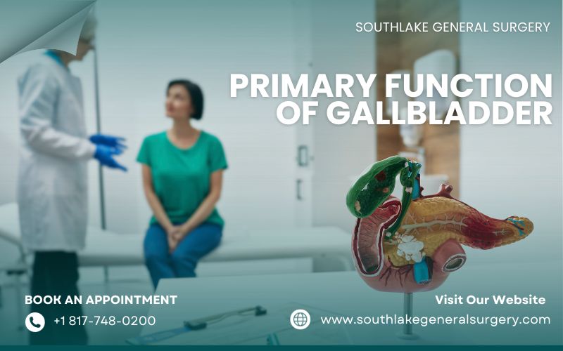 An infographic illustrating the primary functions of the gallbladder, including bile storage and digestion.