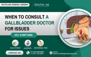 Medical illustration of gallbladder under the liver showing its function in digestion and bile storage.